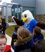 Tawanka Eagle 